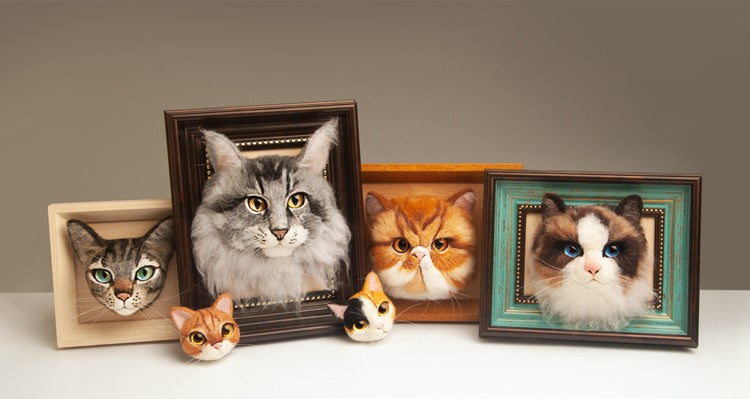 Mickey British Shorthair