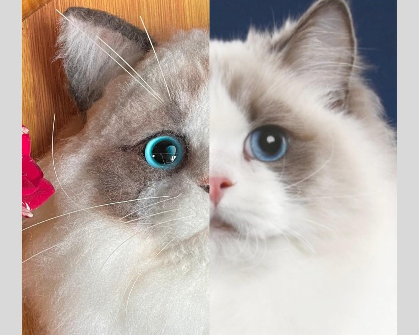 Split image of a cat with blue eyes, labeled 'Furreal Felts' on the left and 'Client photo' on the right.