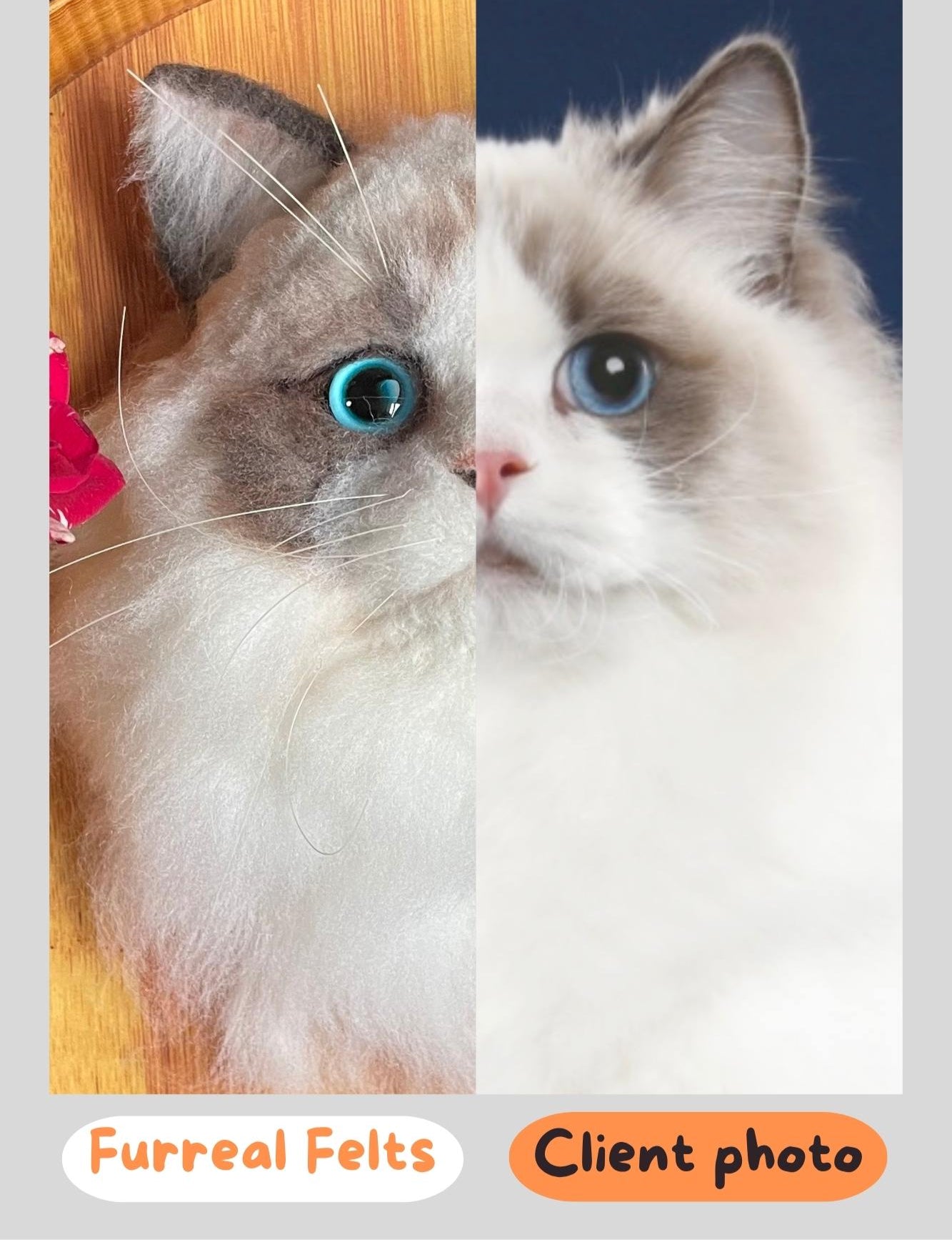 Split image of a cat with blue eyes, labeled 'Furreal Felts' on the left and 'Client photo' on the right.