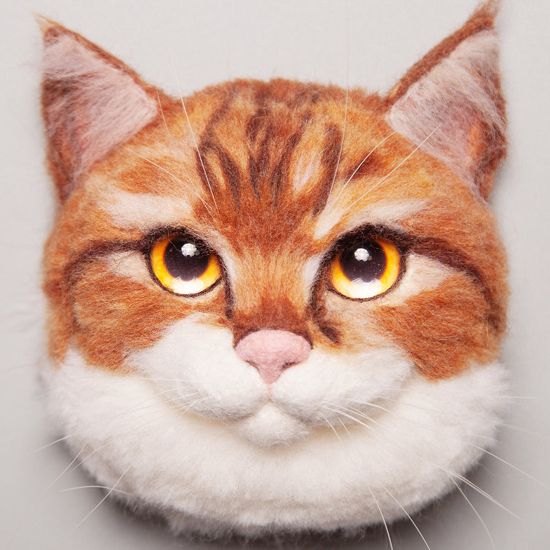Pumpkin the Ginger Cat