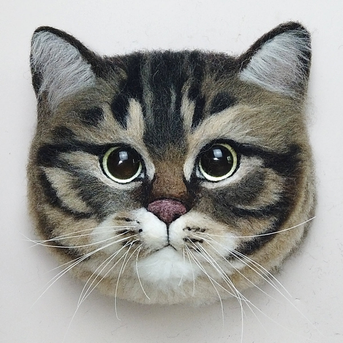 Twinkle the Tabby cat