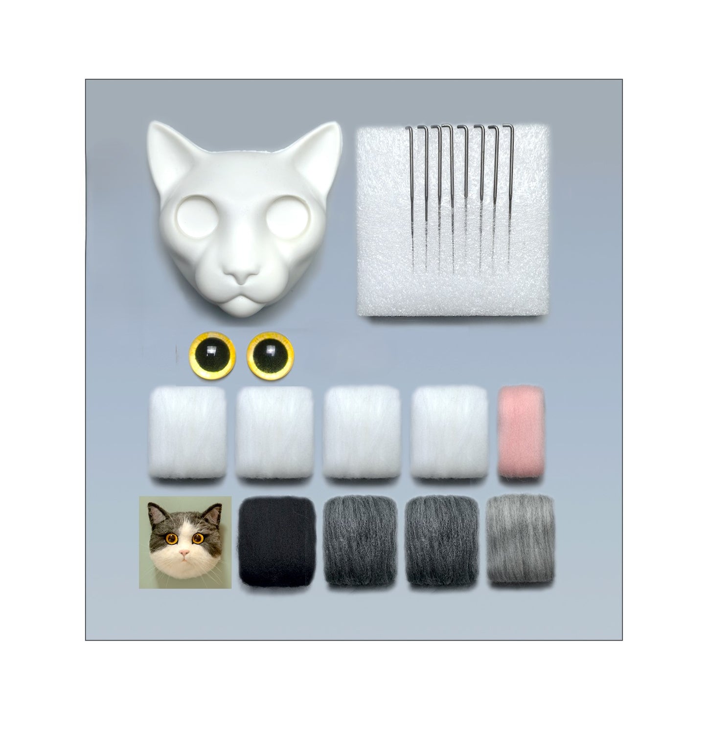 Mickey British Shorthair