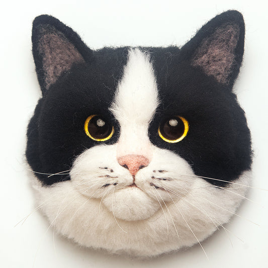 Domino the Tuxedo cat
