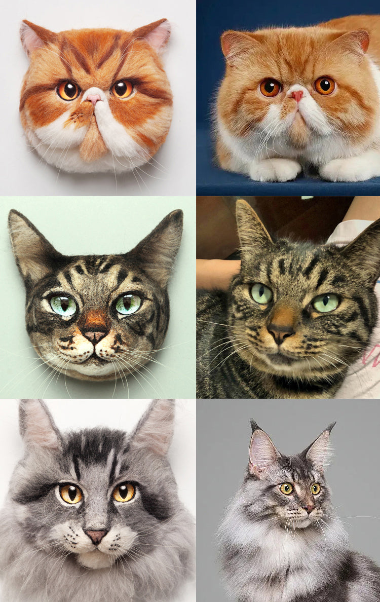 Bule the Siamese cat