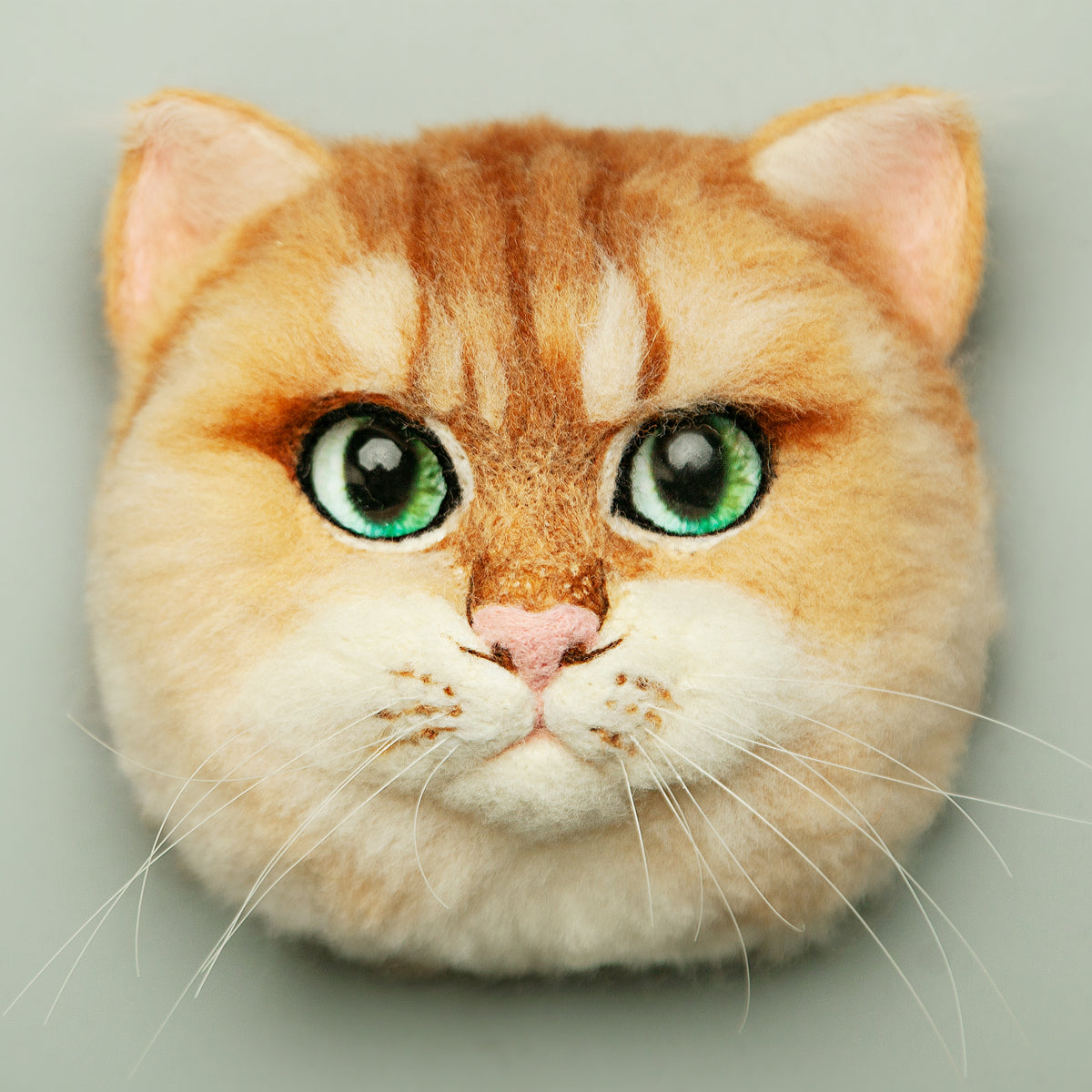 Floppy the British Shorthair (golden)