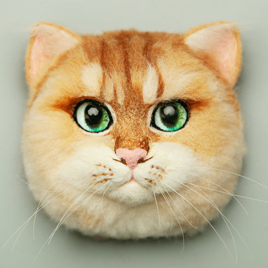 Floppy the British Shorthair (golden)